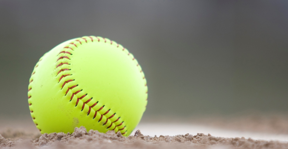 Softball names Terlizzi New Head Coach and Shay as Assistant Coach